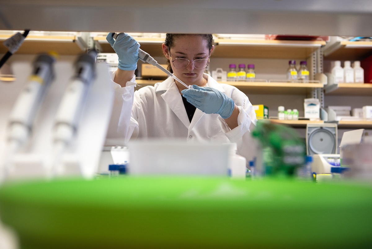 Texas counties with coronavirus Case updates and what we know The